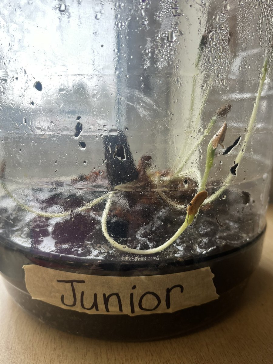 Rhonda Tough (She/Her) tweet media