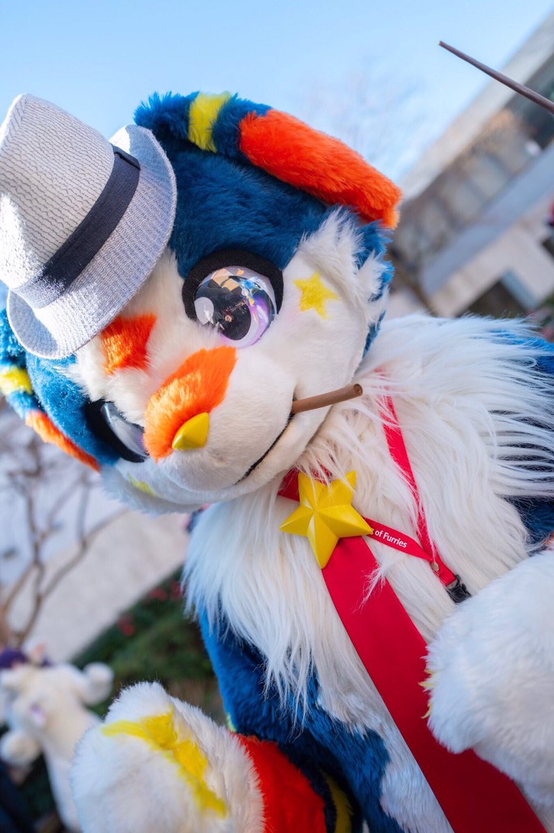 procyonpu's tweet photo. 懐かしいの！
前にぎゃんぐの格好した時のお写真！
ところで、ぎゃんぐってなーに？ https://t.co/CmRc4CxaVr