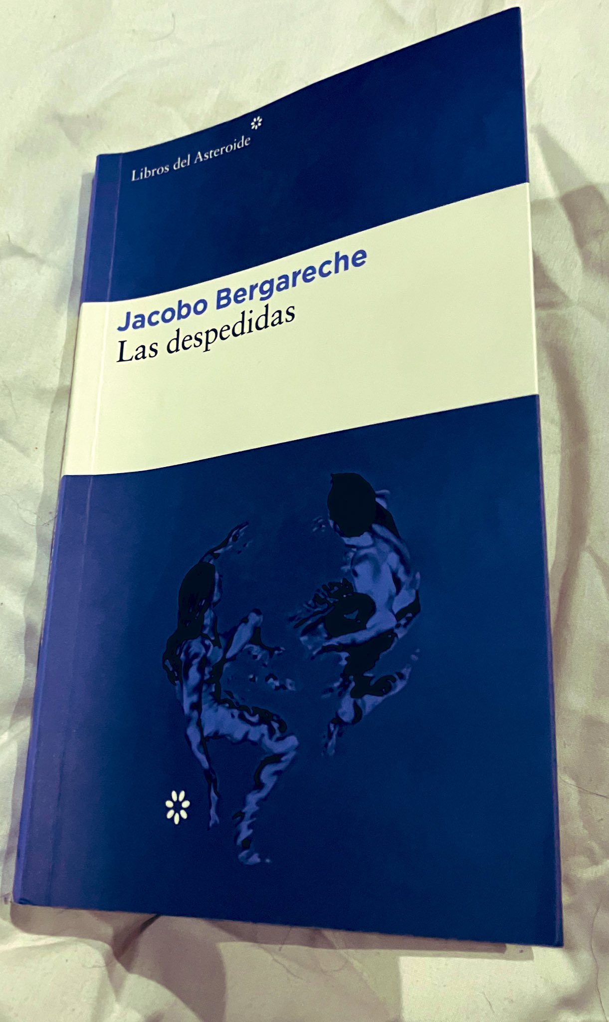 Jacobo Bergareche y Las despedidas