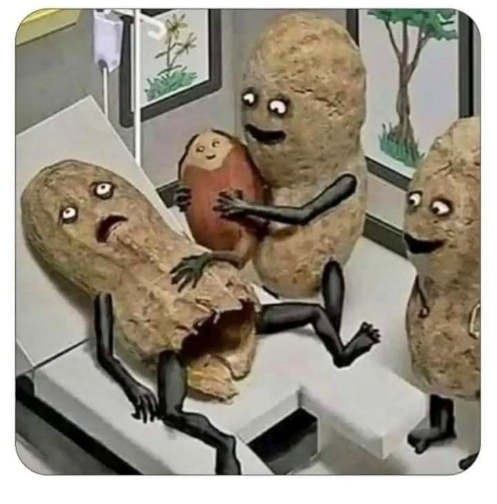 Vou parar de postar besteiras, mas antes,vejam o nascimento de um Amendoim!🤭🫣