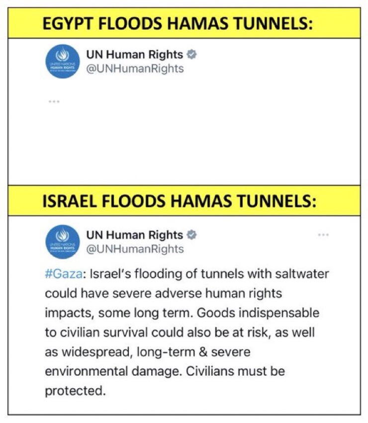 GDXXpCLbIAA9SwZ?format=jpg&name=900x900