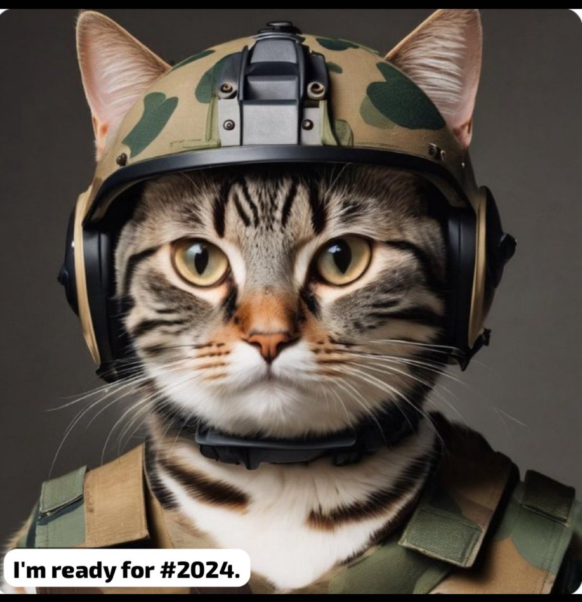 Are you?
#2024NewYear #2024Goals #ilovecats