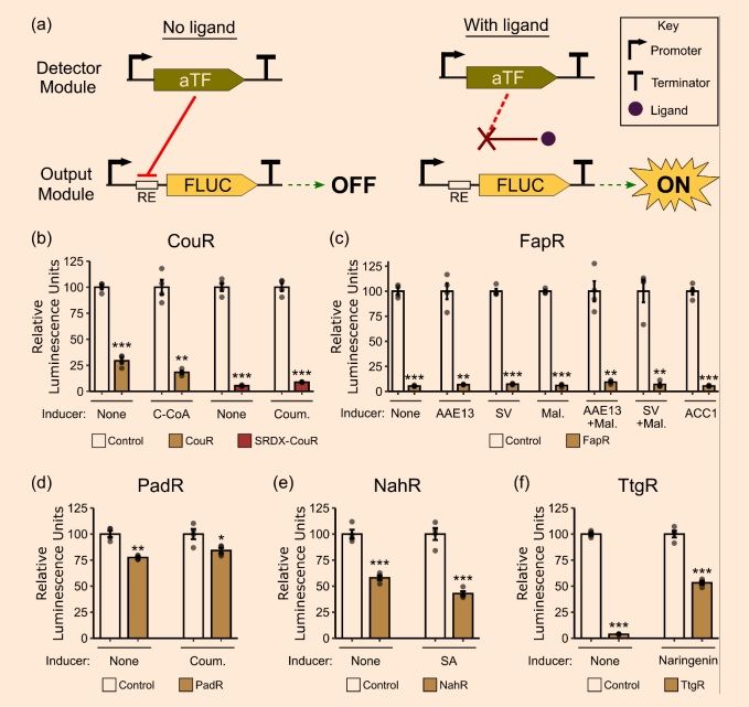 sci_plant's tweet photo. Genetically encoded Boolean logic operators to sense and integrate phenylpropanoid metabolite levels in plants 

https://t.co/k2t2UoIz3I 
#plantscience ♻️ https://t.co/EFWz0pHOaI