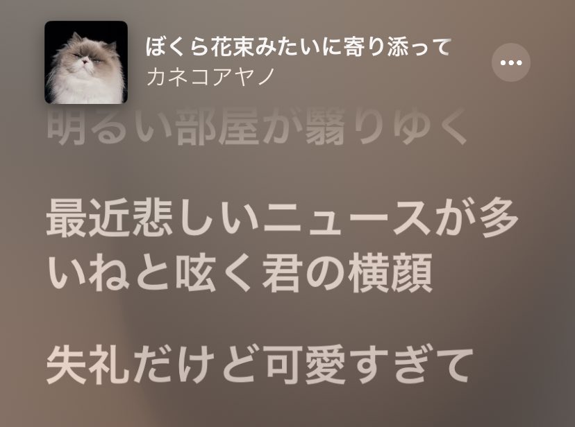 yasa4ku4teyo's tweet photo. こういう盲目系の歌詞良すぎるだろ、正直美術館行っても展示を見てるあなたを見てる気がする（冒涜） https://t.co/q4vUDc1q1f