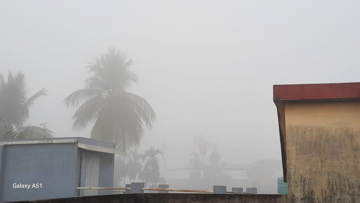 AmitDas96831596's tweet photo. #Foogy Morning 🌫️
Kolkata #South24pargana
#Winter 2024 https://t.co/RsTG7XnWnj