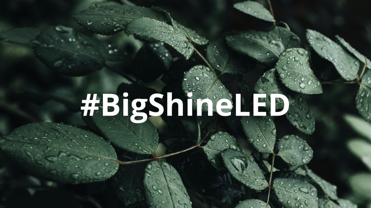 BigShineLED's tweet image. 💚 Green Brilliance in Every Light: Big Shine LED is more than a lighting company; we're a commitment to a greener, brighter future. Discover how our LED solutions redefine illumination with efficiency and innovation. 🌍💡 #BigShineLED #Sustainability #LEDInnovation