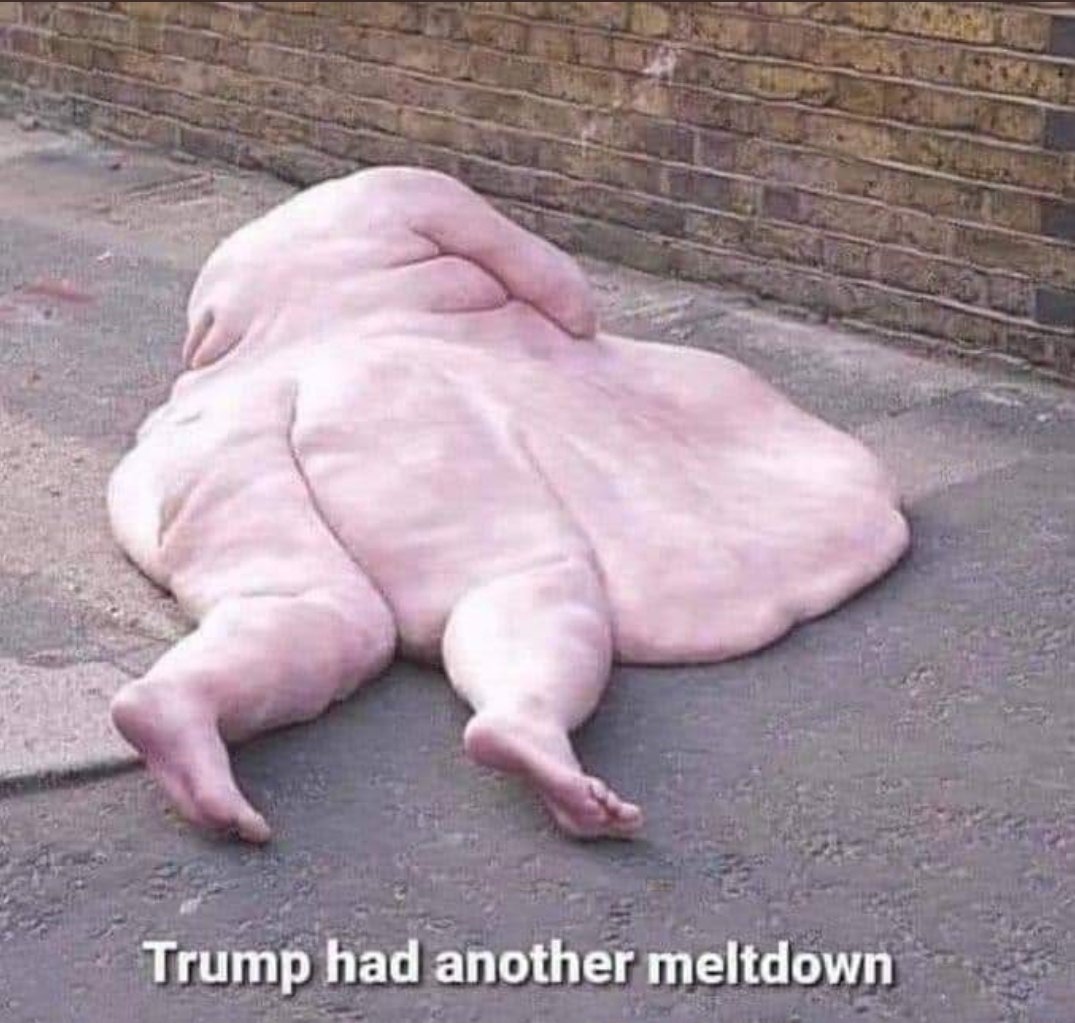 testechols74's tweet photo. @JezzaMolecan @bagsfan75_Tony Actual file photo of shirtless Trump https://t.co/PQD0azEUFa