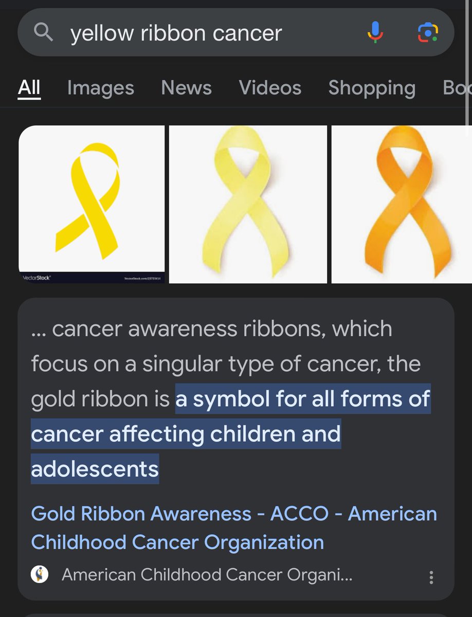 koobisoft's tweet photo. i'd like to say that the ribbon in my dn is not related to this crap in anyway! it's for the youtuber technoblade who passed away from cancer, it has been in my dn long before this happened. many fans use the yellow ribbon along with a crown or a pig emoji for him 🎗 👑 https://t.co/br4j8pVOOi