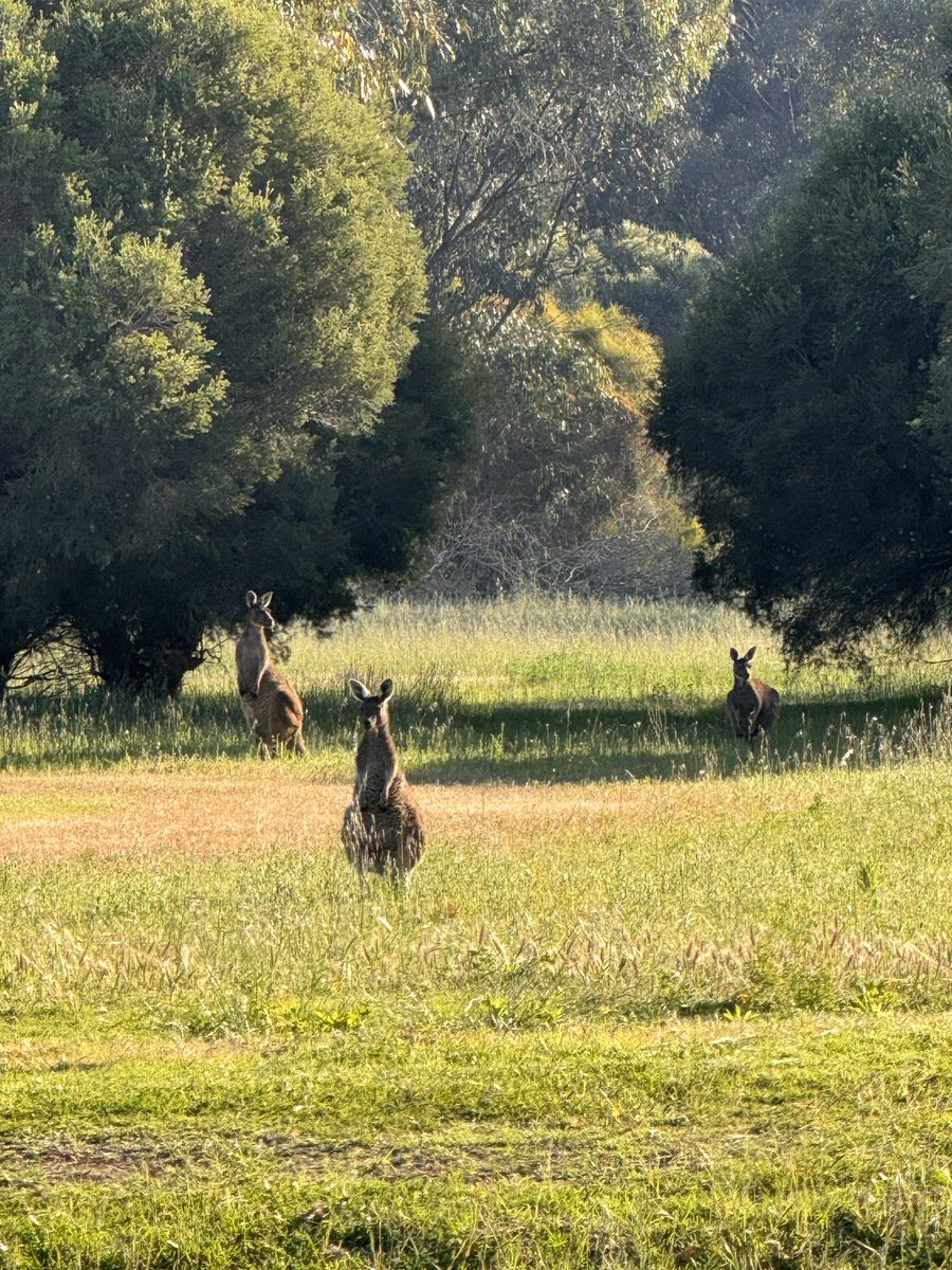 KC Iru 💉 tweet media