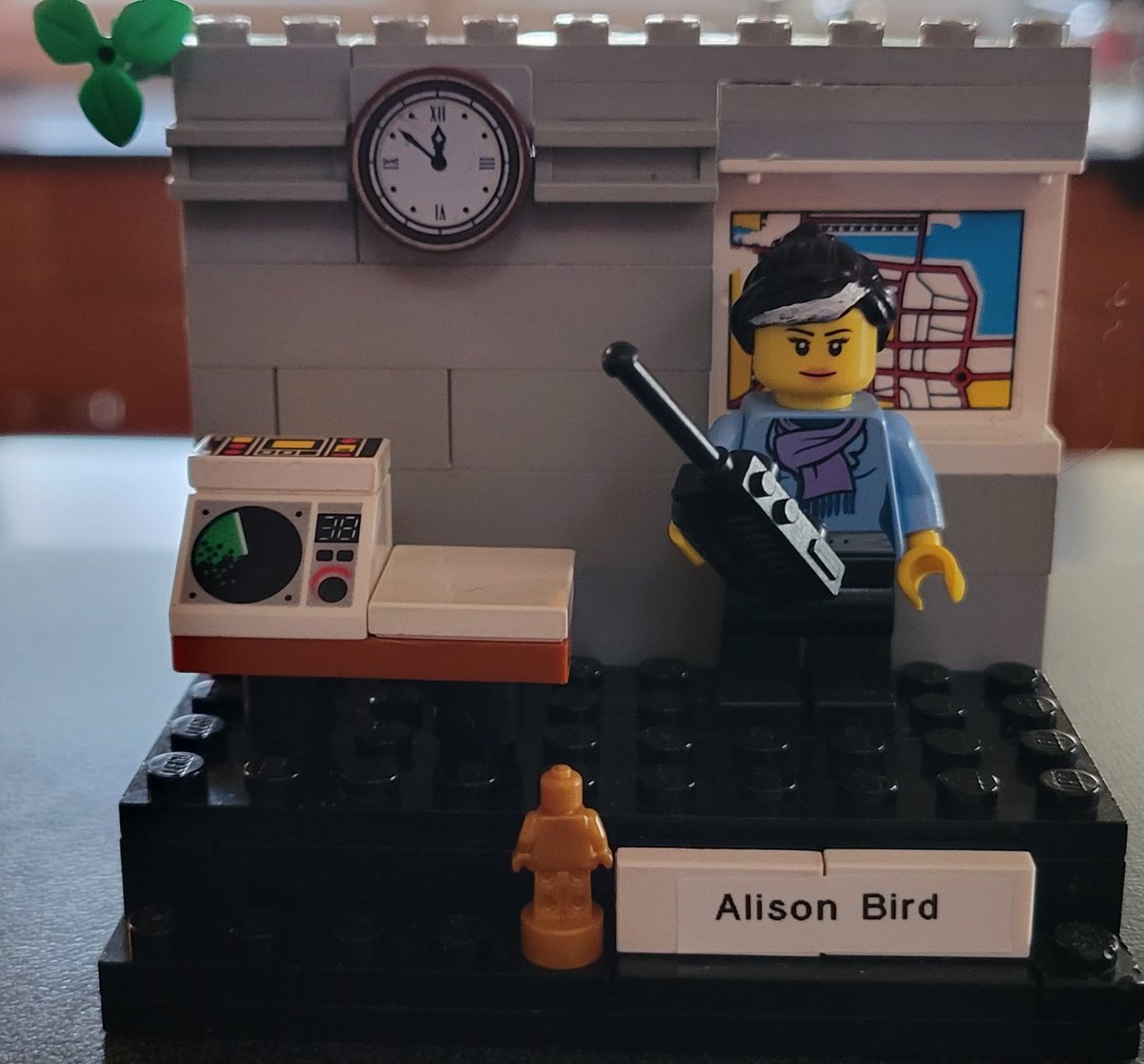 Alison Bird tweet media