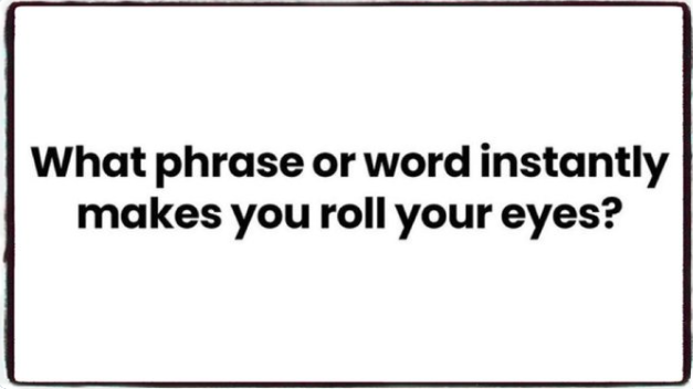 HollyCabot tweet media