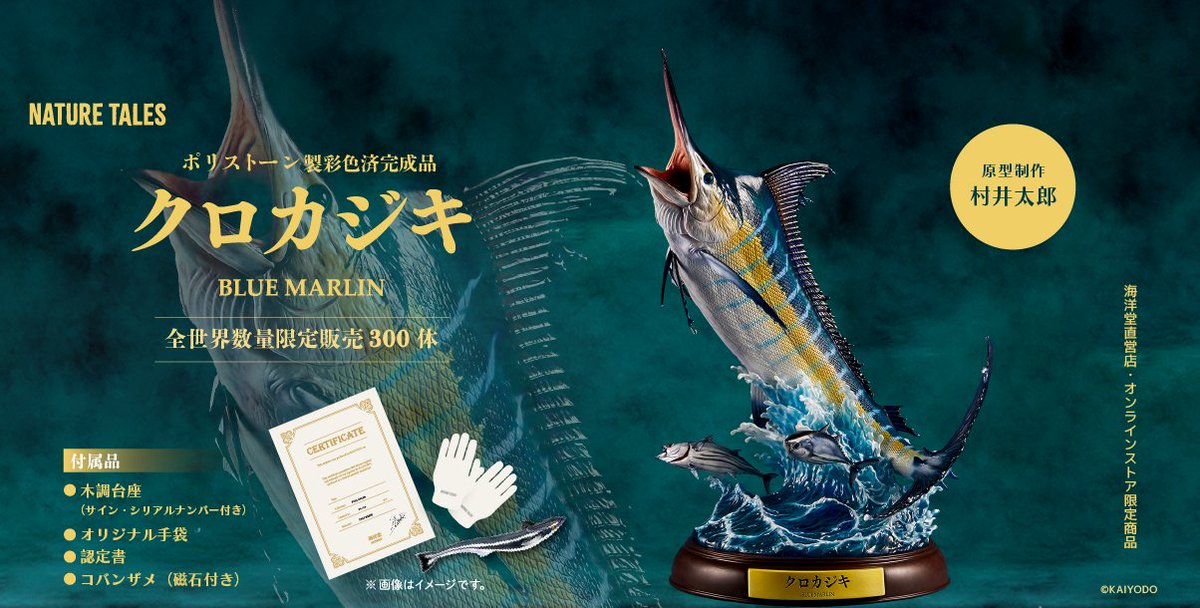 kaiyodo_PR's tweet photo. 【商品情報📢】  

「NATURE TALES」シリーズ『#クロカジキ』が明日1月10日よりご予約開始‼ 

原型制作：村井太郎
価格：59,400円（税込）
サイズ：W 30㎝×H45㎝×D12.5㎝ 
2024年8月発売予定

#NATURETALES https://t.co/Y1ebVfwy1s