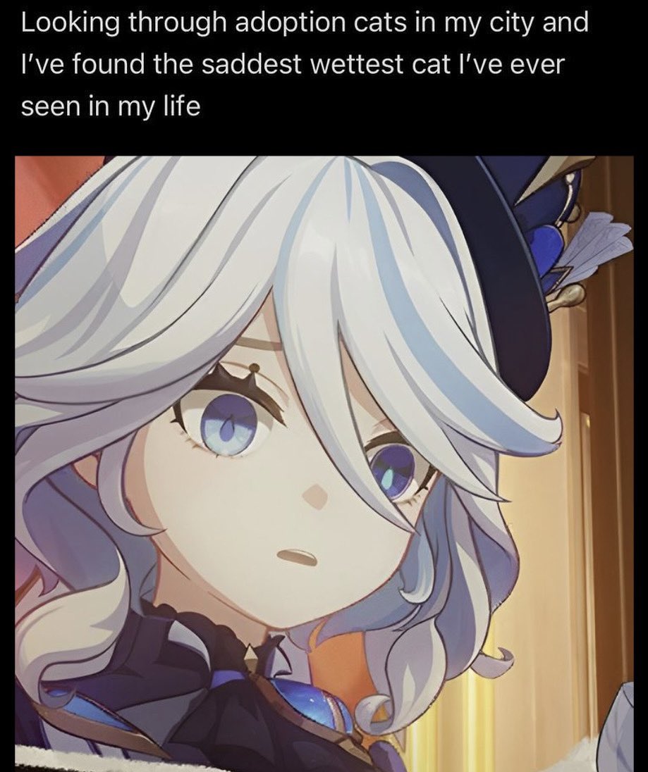 lou 🌺 tweet media