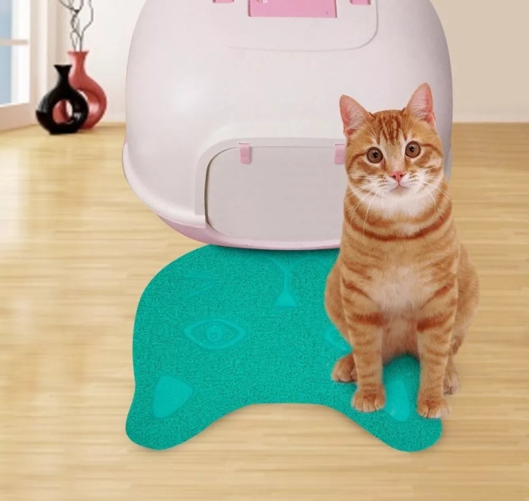 rockenaty's tweet photo. X FA RT 🙏🙏🐱🐈ALFOMBRA ANTIDESLIZANTE MASCOTAS🐈🐱 $5.000.- https://t.co/stRl1hrB2s