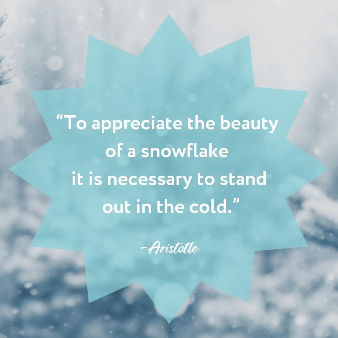 We agree with Aristotle! Getting outside in the winter is the best way to appreciate its beauty.✨We can still protect our most important resource in the winter! Clearing your storm drain of snow, ice, and debris in winter helps to prevent localized flooding and water pollution.