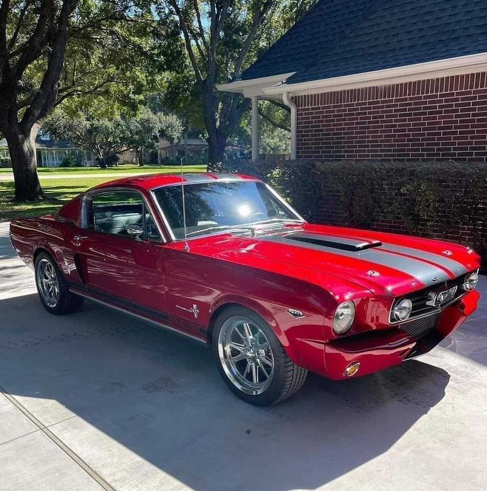 mar37989's tweet photo. ❤️  Beautiful Mustang  ❤️ https://t.co/7i9ssrql3H