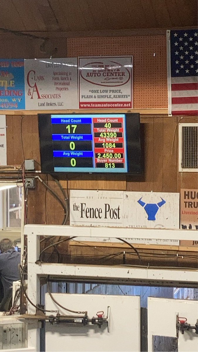FlitnerColten's tweet photo. Thank you to the crew at Torrington Live. Bred heifers 3-500 higher in the new year. https://t.co/aziWMrKetC
