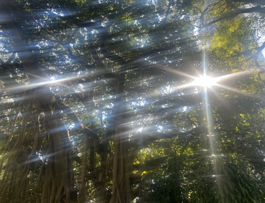 ⋆.·★𝓚ⁱⁿᵈʳ★·.⋆ tweet media