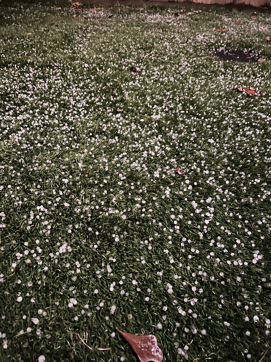 Pea sized hail 77008 <a href="/mattlanza/">Matt Lanza</a>