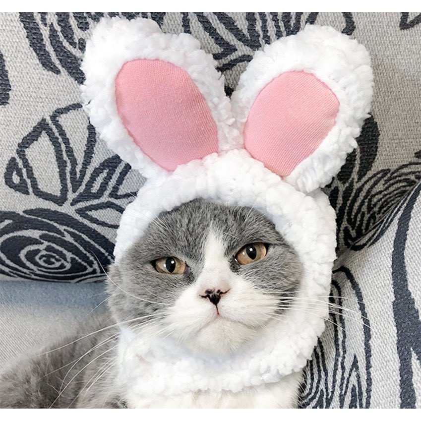 morireview's tweet image. 🐈🐈‍⬛ก็อยากเป็นแมวกระต่ายอะ❗️
พิกัด🤍shope.ee/20WFrHpm73
พิกัด🩵 s.lazada.co.th/s.Os0ei?cc