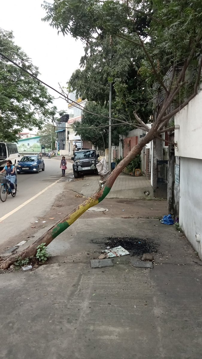 TreesofChennai's tweet photo. It is sad to see a young neem tree fallen on the compound wall of Parkland Place, Pulla Avenue, Shenoy Nagar. The building is close to the Corporation Zonal Office 8. However, what is heartening is that the tree continues to grow...
1/2 #trees #tiruvikapark #treerevival https://t.co/cF5V8TQuo9