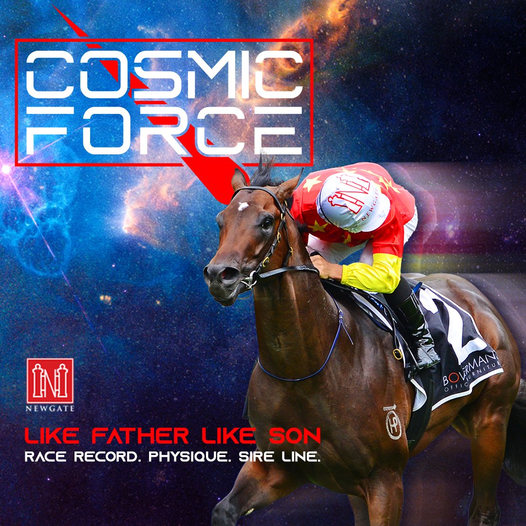 NewgateFarm's tweet photo. 🚨ANOTHER COSMIC FORCE☄️ 2YO WINNER🚨

THAT'S INTERESTING makes it look easy &amp; gives his sire a 3rd first crop 2YO winner💪

Purchased by his trainer Leigh Wanles from the draft of @AmbergateFarm @mmsnippets👏👏

Congratulations breeder @G1G_Racing &amp; all winning connections👏 https://t.co/q8czttewWW