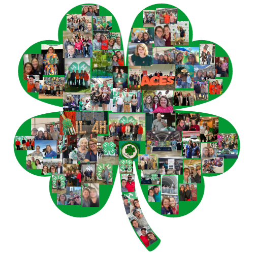 vealt's tweet image. Hard to believe it's been 4 years with Illinois 4-H as the 4-H Alumni Constituent &amp;amp; Engagement Manager as of January 6 and 29 years with the University of Illinois!  I love to look back at the FACES of 4-H!  #il4halumni #il4hgrown