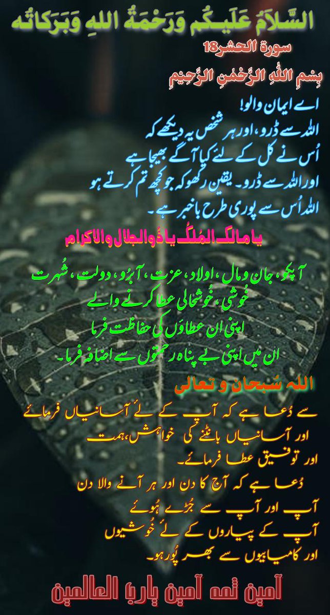 islamicWorld_AM's tweet photo. السلام علیکم ورحمتہ اللٰہ وبرکاتہ
🌄صباح الخیر🌄
درود پاک ﷺ کثرت سے پڑھنے والوں کی دعائیں کبھی رد نہیں ہوتیں 

صَلَّى اللَّهُ تَعَالٰى عَلَيْهِ وَاٰلِه وَســـــــــَلَّم ﷺ 🩶

🌴أّلَلَهّــــــمً صّـلَِ وٌسِـلَمً وٌبًأّرڪ عٌلَى سِـيِّدٍنِأّ وٌنِبًيِّنِأّ وٌحًبًيِّبًنِأّ  םבםנ ﷺ https://t.co/kTBz3PCTXP