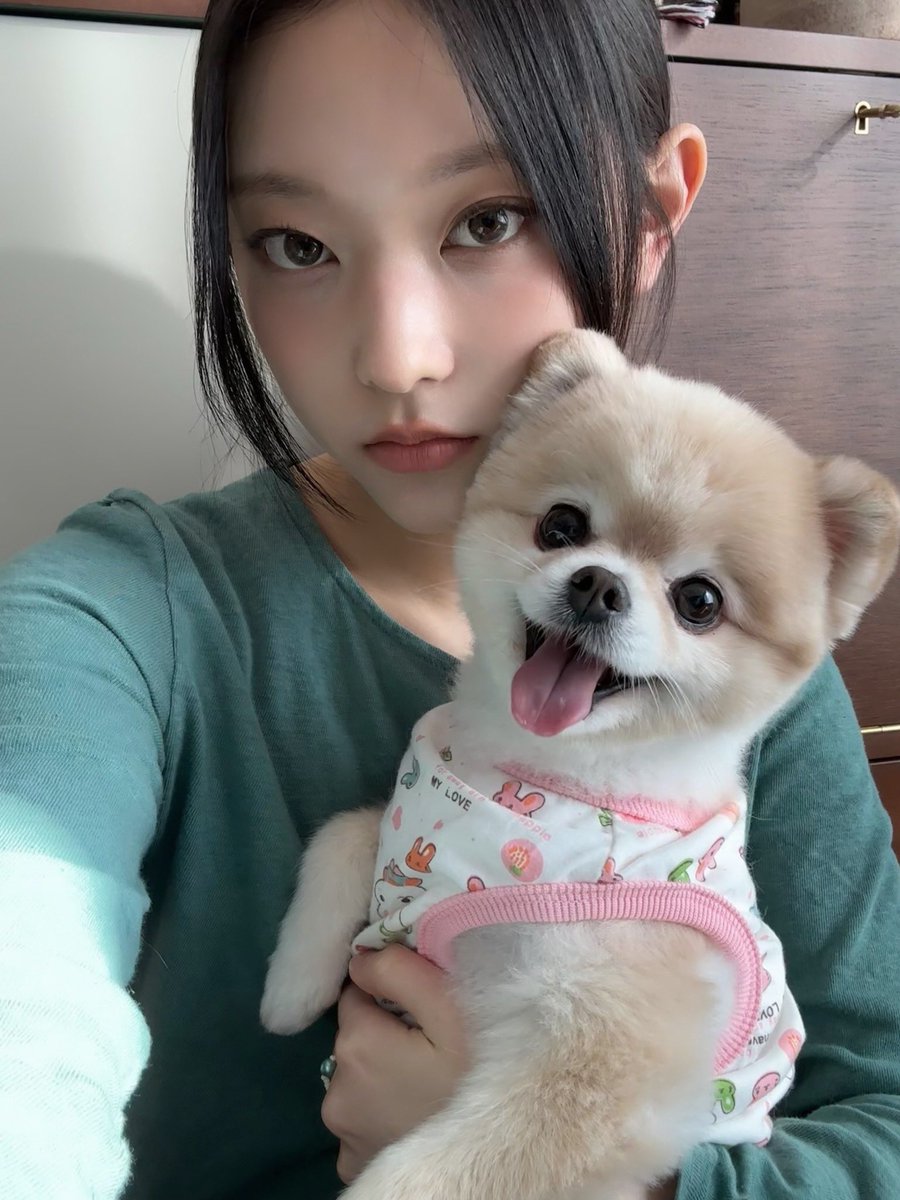 HYElNZONE's tweet image. essa menina tem todos os trejeitos de um gato se parece com um gato é constantemente representada como um gato é associada a um gato e mesmo assim isso não impede ela de ter o cachorro mais sorridente e aviadado que eu já vi na vida