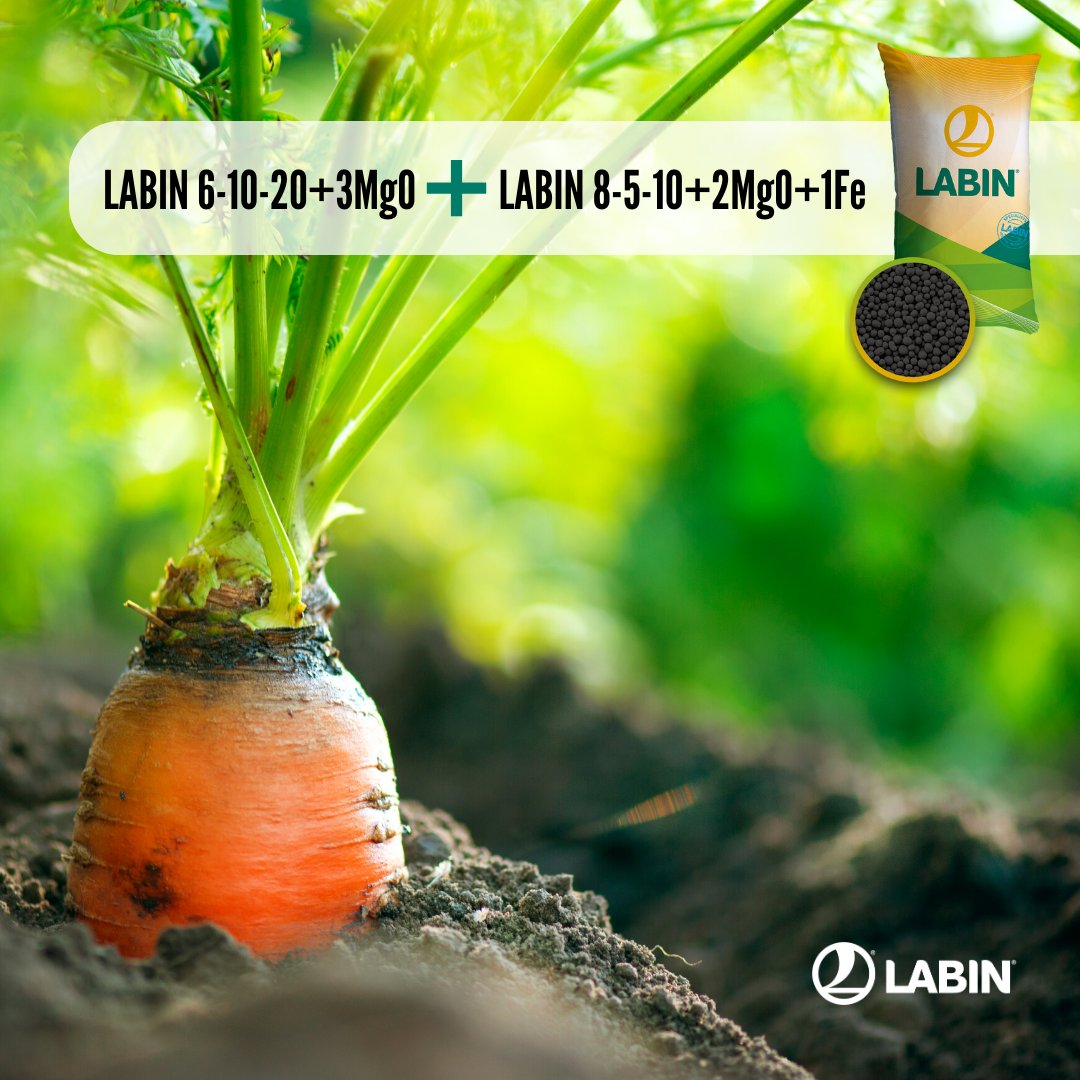 Distintas formulaciones granuladas NPK para un mismo fin 👉 TU CULTIVO 🥕

#labin #solucioneslabin #Cadiz #Valladolid #Alicante