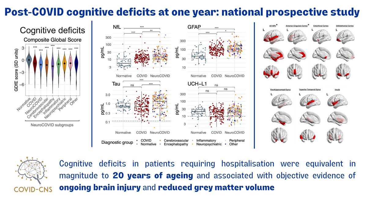 Do cognitive deficits persist after COVID-19 and, if so, what is their biological basis? Our NEW pre-print under review in @NaturePortfolio dx.doi.org/10.21203/rs.3.… We report one-year cognitive, serum biomarker, and neuroimaging findings in 351 patients A thread 1/n