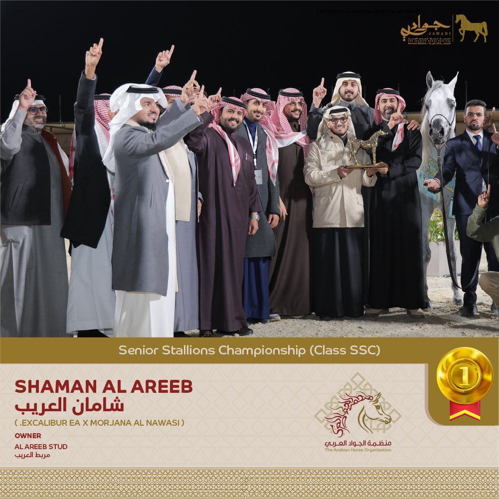 🥇 البطل الذهبي 
بطولة الفحول 

GOLD CHAMPION 🥇
Senior Stallions 

Congratulations Al Areeb Stud
