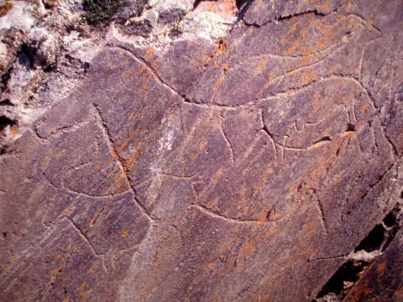 Arte rupestre de Foz Côa y de Siega Verde (Portugal y España)

Los sitios de arte rupestre prehistórico del Valle del Côa, inscritos en la Lista del Patrimonio Mundial en 1998 poseen una extraordinaria concentración de petroglifos del Paleolítico Superior

whc.unesco.org/en/list/866