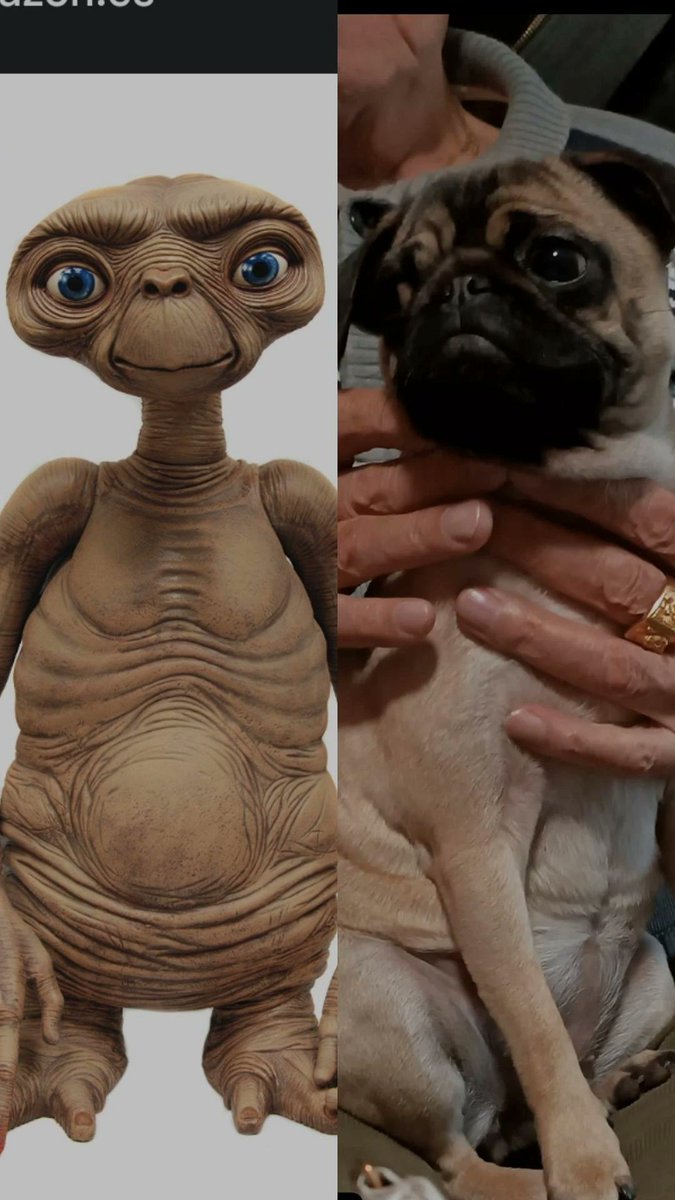 Yo no le veo parecido pero en fin