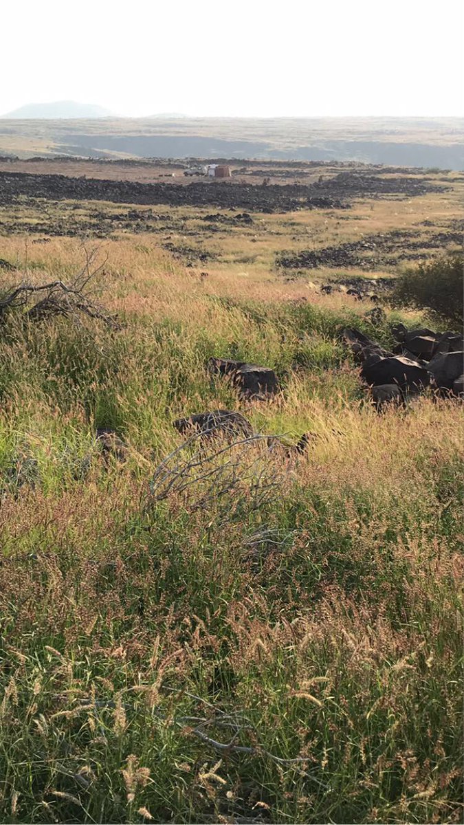 #ربيع_مكه_١٤٤٥هـ

الله يرزقها بالغيث 🤲🏻🤲🏻