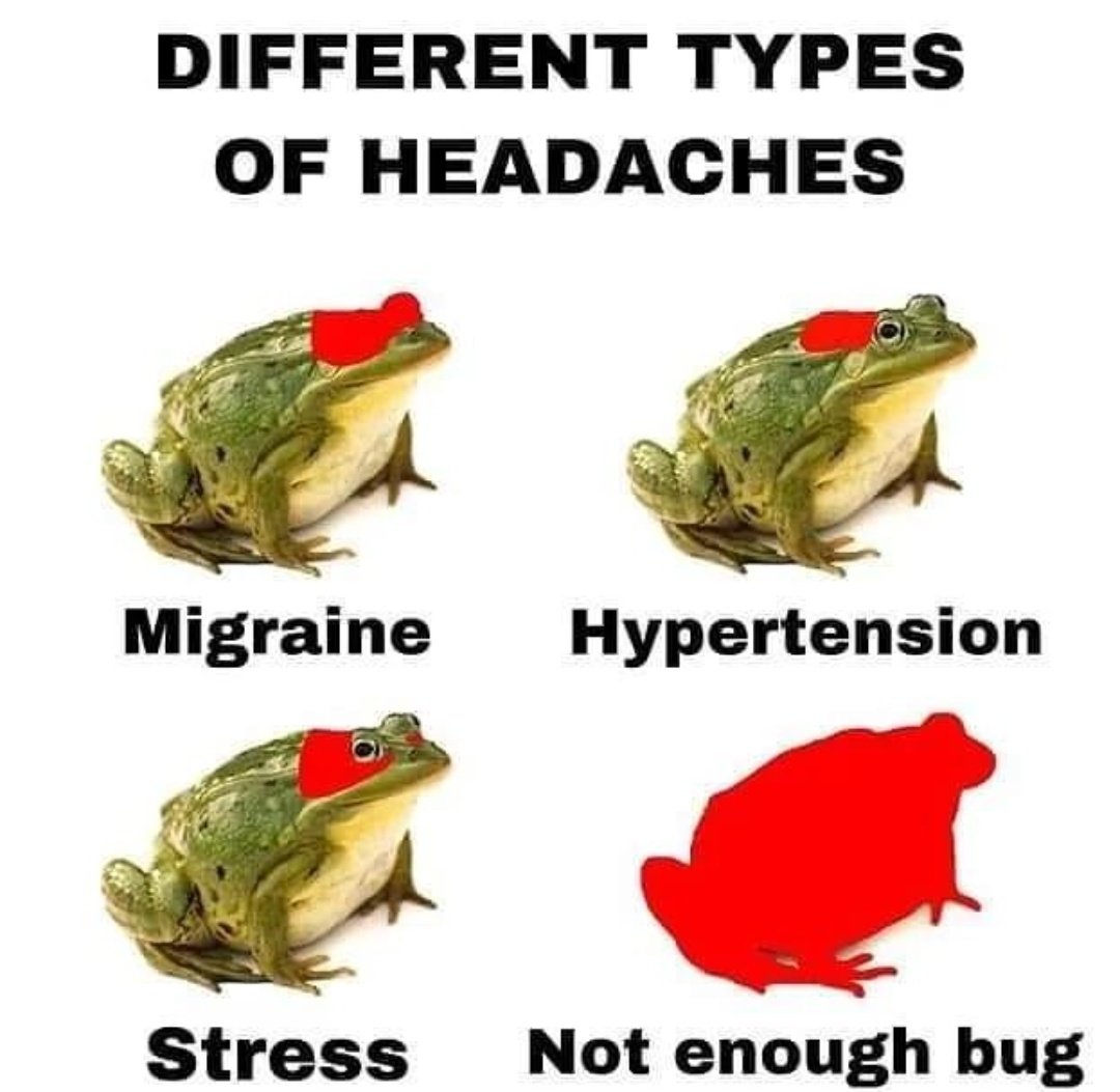 nocontextfrogs's tweet photo. https://t.co/hj3ZKdOzhz