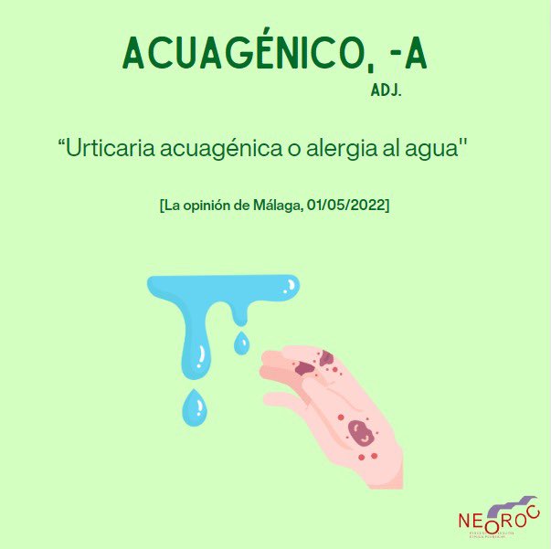 Diario de Neologismos (@dneologismos) on Twitter photo 