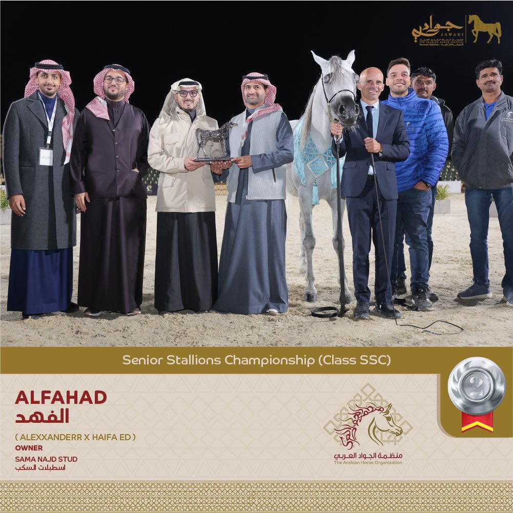 🥈 البطل الفضي 
بطولة الفحول 

SILVER CHAMPION 🥈
Senior Stallions