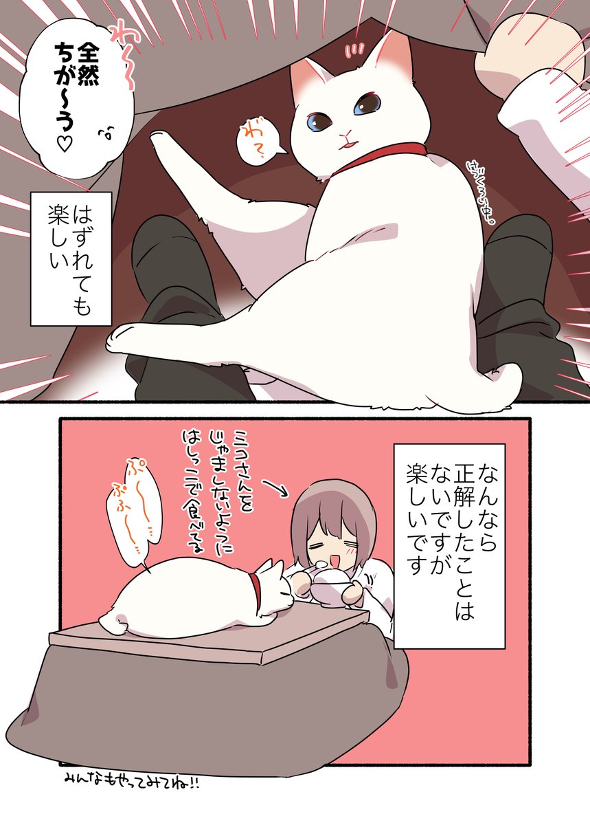🐈飼い猫に🔥こたつ🔥で遊んでもらった話(2/2) #漫画が読めるハッシュタグ #愛されたがりの白猫ミコさん コミックス発売中です👇 https://amzn.to/3Gpk6yu