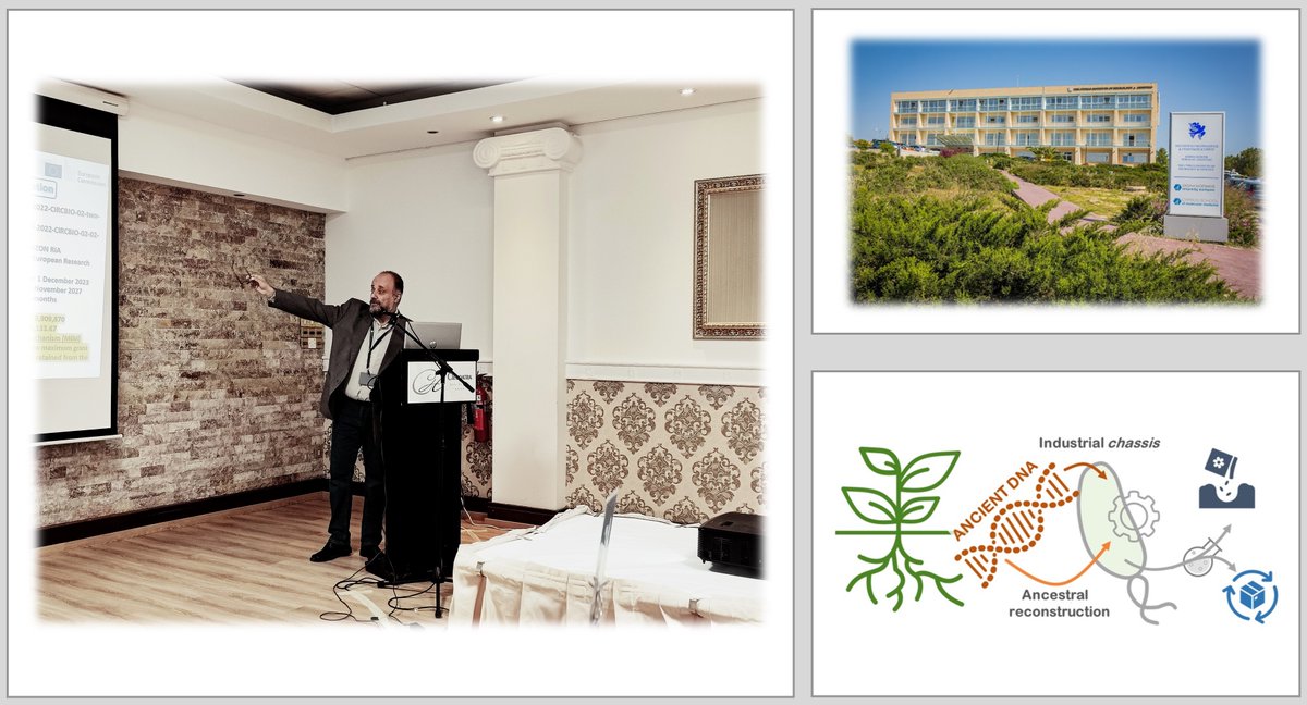 Pablo Iván Nikel @pabnik.bsky.social (@pabloinik) on Twitter photo Can we learn from ancient #DNA how to design microbes & crops for a #sustainable future? Our new <a href="/HorizonEU/">Horizon Europe 🇪🇺</a> project #TOLERATE will address this! KOM #Cyprus #EUGreenDeal #EUBiodiversity #ZeroPollution <a href="/EUgreenresearch/">EU green research</a> <a href="/REA_research/">European Research Executive Agency</a> <a href="/EUScienceInnov/">EU Science & Innovation 🇪🇺</a> <a href="/EUAgri/">EU Agriculture🌱</a> <a href="/EU_ENV/">EU Environment</a> <a href="/HE_NCP_Portal/">Horizon Europe NCP Portal</a> Can we learn from ancient #DNA how to design microbes & crops for a #sustainable future? Our new <a href="/HorizonEU/">Horizon Europe 🇪🇺</a> project #TOLERATE will address this! KOM #Cyprus #EUGreenDeal #EUBiodiversity #ZeroPollution <a href="/EUgreenresearch/">EU green research</a> <a href="/REA_research/">European Research Executive Agency</a> <a href="/EUScienceInnov/">EU Science & Innovation 🇪🇺</a> <a href="/EUAgri/">EU Agriculture🌱</a> <a href="/EU_ENV/">EU Environment</a> <a href="/HE_NCP_Portal/">Horizon Europe NCP Portal</a>