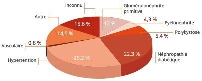 Insuffisance rénale : un FDR majeur medvasc.info/archives-blog/… <a href="/MARYau_MCU_PH/">MARY Aurélien</a> <a href="/AlexandreGerard/">Alexandre Gérard</a> @MansourRennes <a href="/alexgalloula/">Alexandre Galloula</a> <a href="/SoniaSmt1/">Sonia Smt</a> <a href="/VMJ_SVM/">VascularMedicine</a> <a href="/ClubVasculaire/">Club des Jeunes Médecins Vasculaires</a> <a href="/EPLVaisseaux/">Ensemble Pour Les Vaisseaux</a> <a href="/lina_2411/">Lina KHIDER</a> <a href="/LionelREICHARDT/">PHARMAGEEK #hcsmeufr</a> <a href="/nephrobug/">thomas robert</a> <a href="/CJNephro/">CJ Néphro</a> <a href="/ASNKidney/">American Society of Nephrology</a> <a href="/KaplanBen_Fr/">Kâplan</a> <a href="/Pr_Logos/">Compte mort de Pr_Logos</a> <a href="/ingliguori/">Giuliano Liguori</a> <a href="/mdrechsler/">Michèle Drechsler</a>