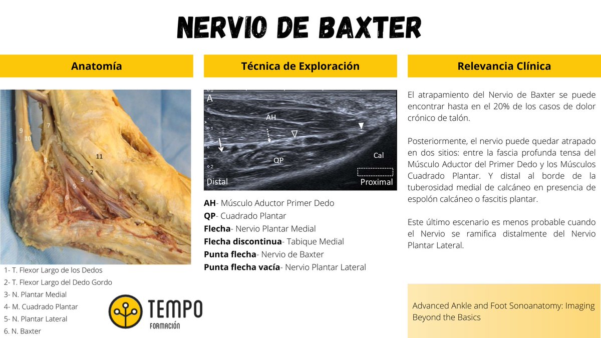 Tempo Formación tweet media