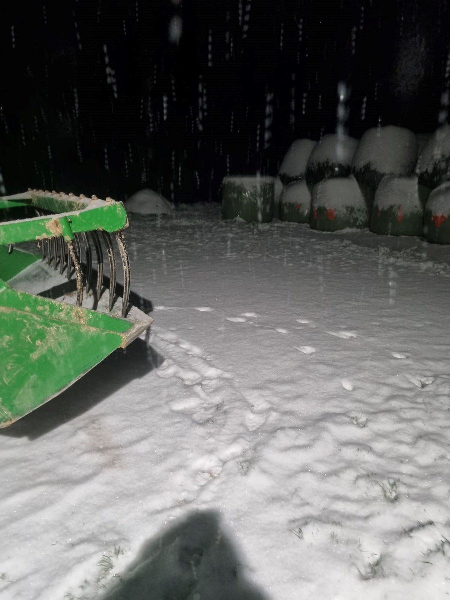 La campagne calvadosienne s'est réveillée sous la neige. Bon courage à tous les éleveurs.