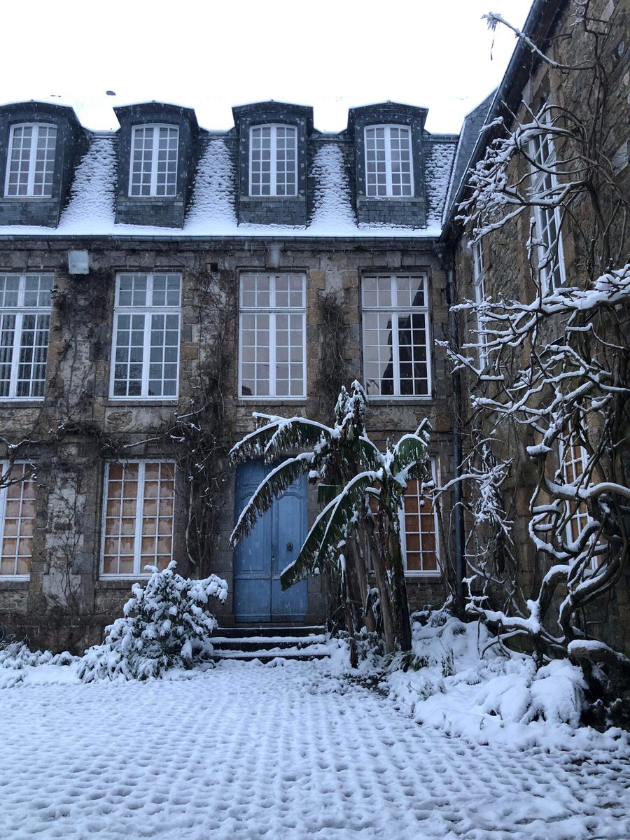 Musée Quesnel-Morinière de Coutances sous la neige #palmier