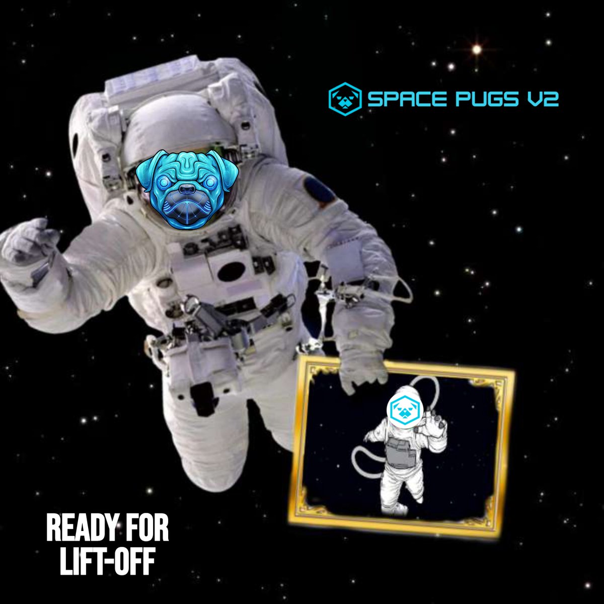 zeitgeist_2007's tweet photo. @yourcryptodj Can't wait to get some #NFT love again! @spacepugs_ 

#nftcollectors https://t.co/z2rgMHJKQ1