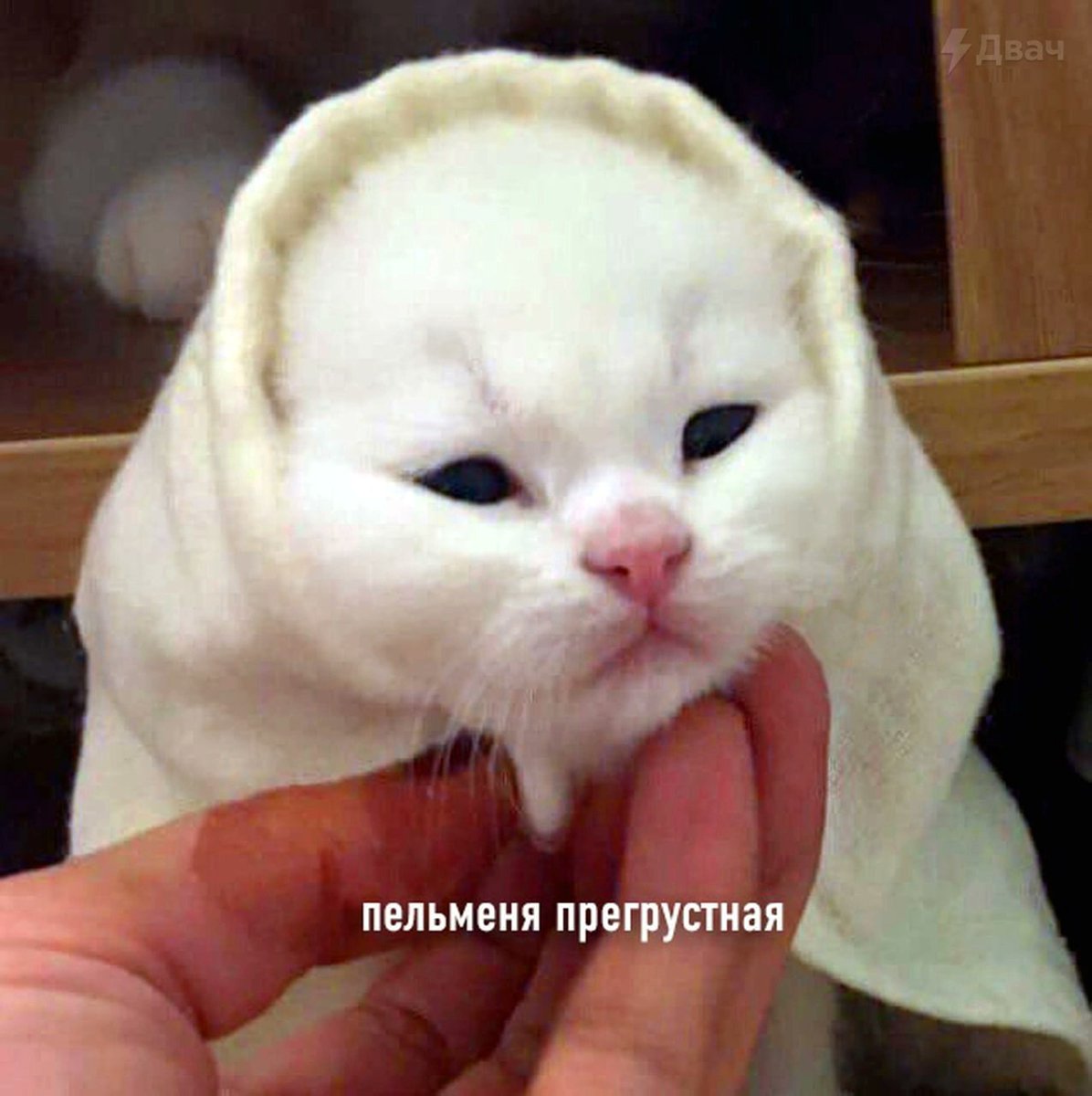 drunk_cherry_07's tweet photo. Состояние на работе после праздников какое-то такое https://t.co/rzi6iOsWLZ