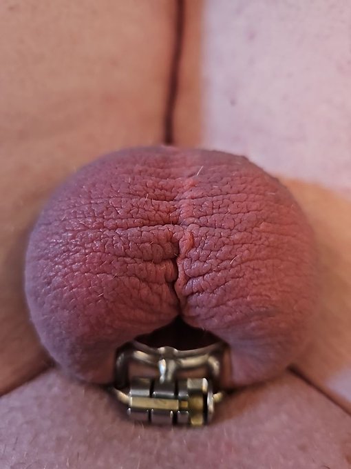 Already hit myself in the balls 300 times today. If you wanna help, message me on kik at cbtlover85 with<a href="/tag/help"class="tags"><span>#help</span></a><a href="/tag/kik"class="tags"><span>#kik</span></a><a href="/tag/retweet"class="tags"><span>#retweet</span></a><a href="/tag/chastity"class="tags"><span>#chastity</span></a><a href="/tag/cbt"class="tags"><span>#cbt</span></a><a href="/tag/ballbusting"class="tags"><span>#ballbusting</span></a>