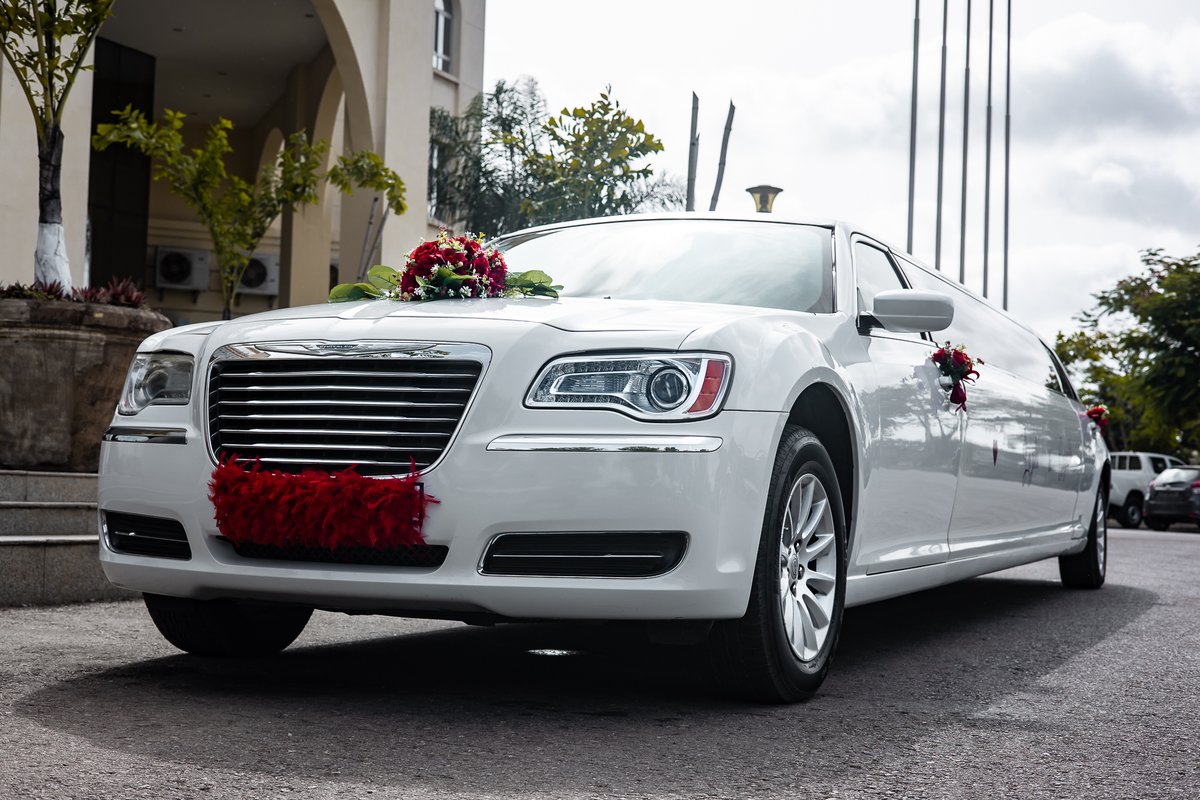 Estúdio Spades tweet media