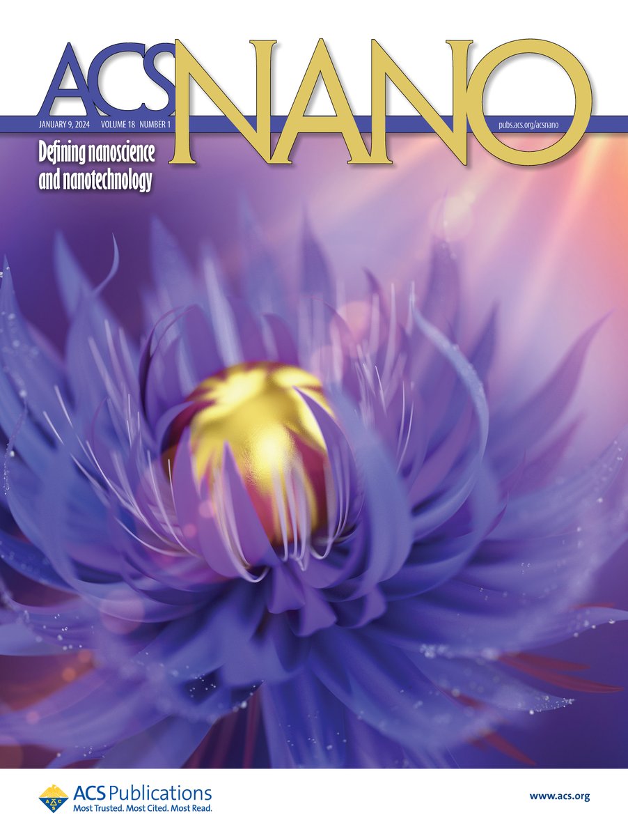 HybridNano's tweet photo. 🥳Our cover in @acsnano! 🔖
🌻Artificial photosynthesis requires finding new materials able to harvest sunlight ☀️ and to catalyze reactions 🧪
Here we visualize this energy conversion process at the single molecule level in a plasmonic nanoparticle 🔬🙌 
https://t.co/kiaSc0NAU4 https://t.co/xBWvuFE8Ov