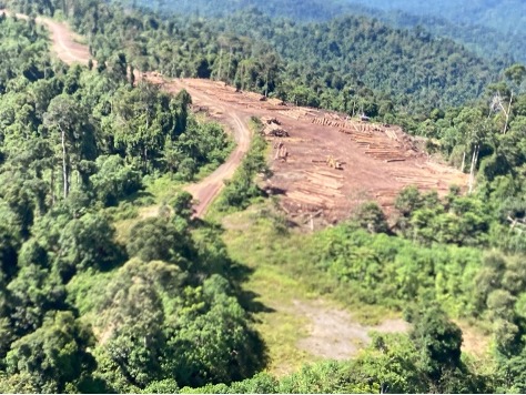 Remember the @guardian claiming #rainforest @VerraStandards #carbon credits are worthless? Read our eLetter response to the original @ScienceMagazine article science.org/doi/full/10.11… @hughagraham @AndyC_UoE @BurslemDavidFRP @lsanzcruz @EdMitchard #COP28 1/13